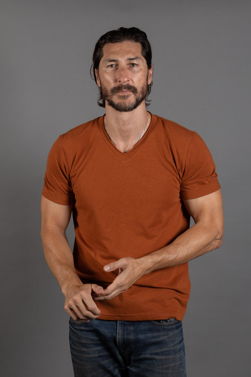 Men's Tri-Blend Stitch Sleeve V-Neck Tee — Antique